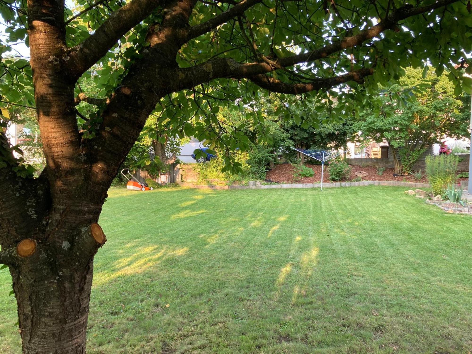 Apartment Ida Viereth-Trunstadt Zewnętrze zdjęcie